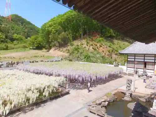 長泉寺の景色