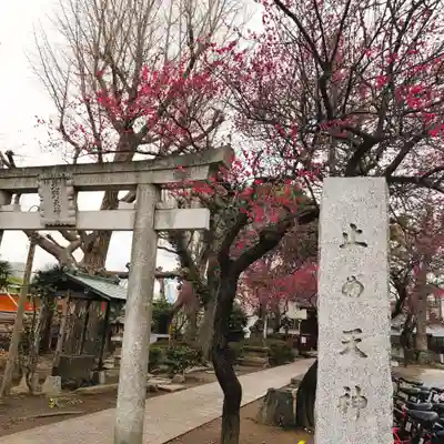 北野天神(仲六郷北野神社)(東京都)
