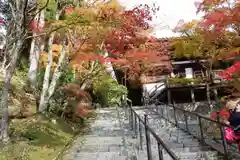 播州清水寺の山門