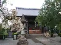 大蔵院(群馬県)