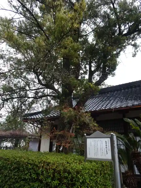 春日神社(大阪府)