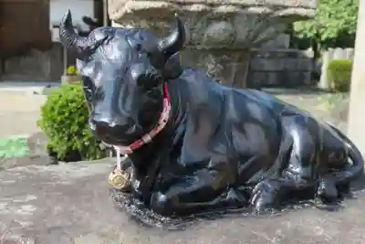 大松禅寺(京都府)