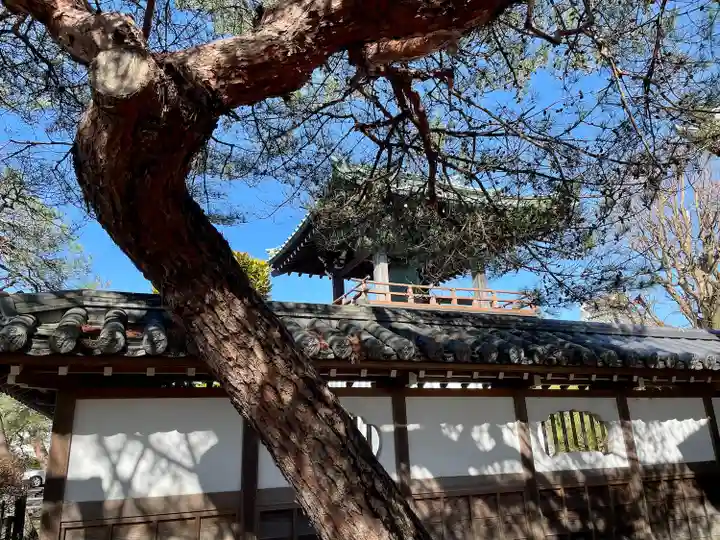 白旗八幡宮(栃木県)