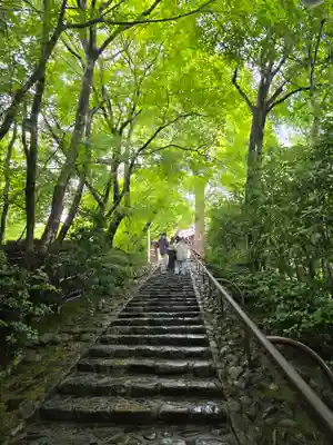 華厳寺(鈴虫寺)(京都府)