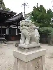 荒井神社の狛犬