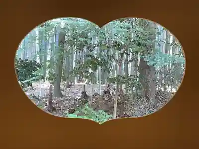 地蔵院(京都府)