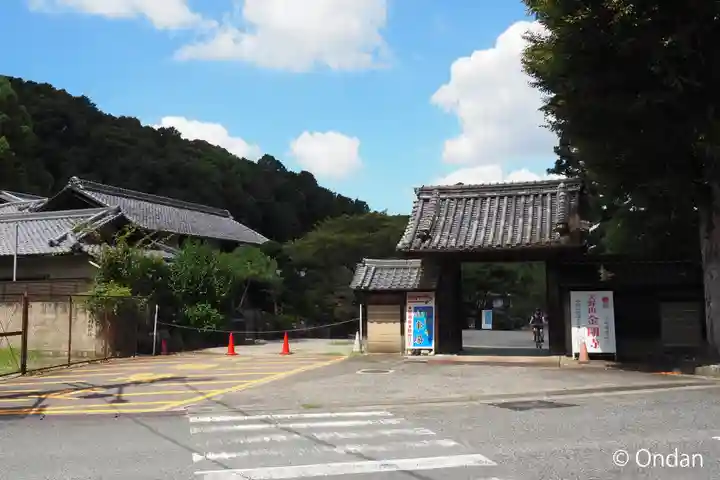 金剛寺(大阪府)