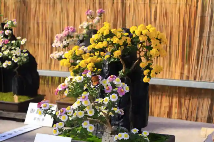 橿原神宮(奈良県)