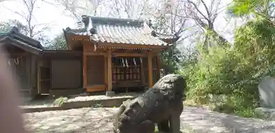頼政神社の狛犬