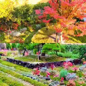 寿量山 速成寺(奈良県)(2021年11月17日(水) 16時10分37秒投稿)