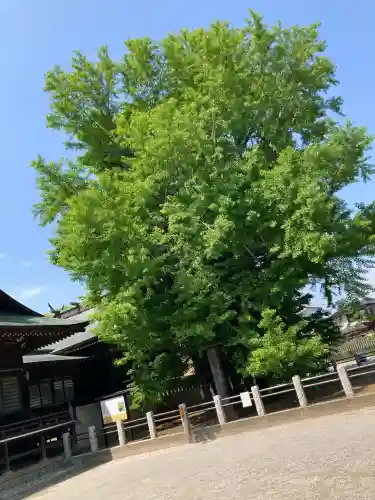 葛飾八幡宮(千葉県)