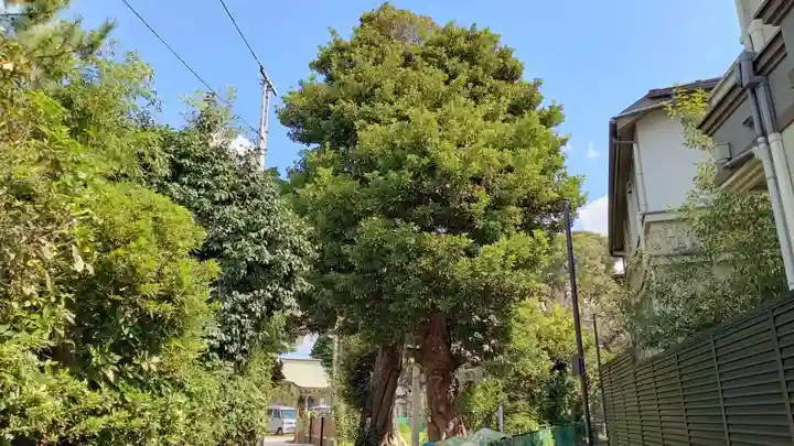 第六天社(千葉県)