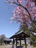 日吉神社の手水舎