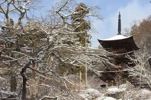 国宝 大法寺の塔