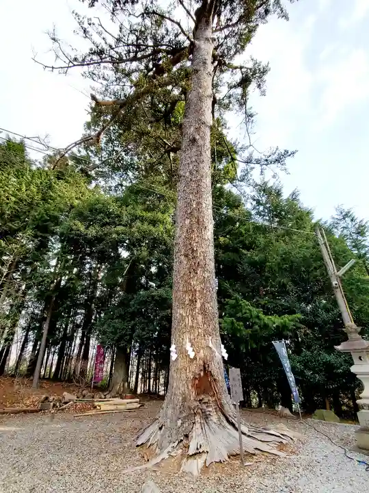 滑川神社 - 仕事と子どもの守り神の自然