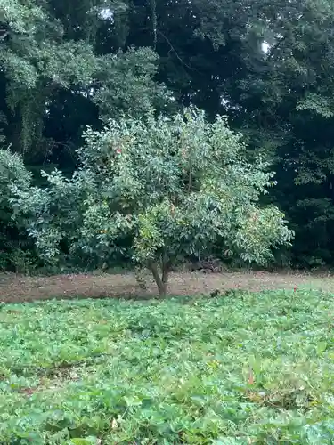 結縁寺(千葉県)