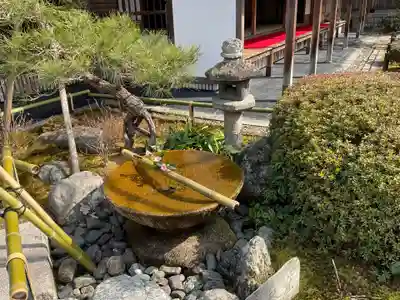 圓光寺(京都府)