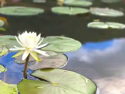 北竜湖弁財天(長野県)