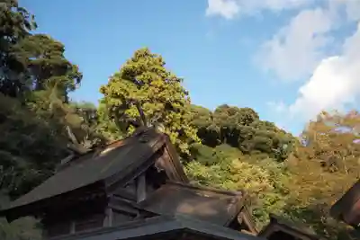 眞名井神社の本殿・本堂