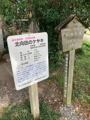 向田神社(栃木県)