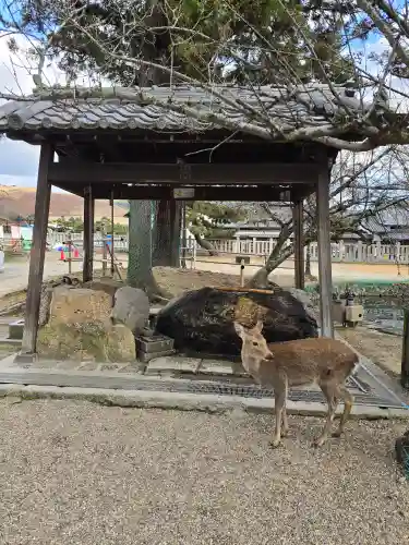 氷室神社(奈良県)