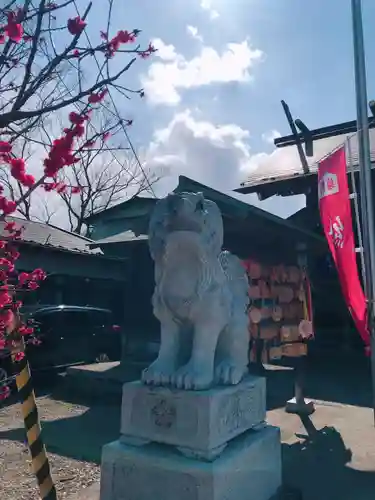 櫻岡大神宮の狛犬