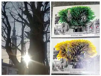 飛木稲荷神社(東京都)