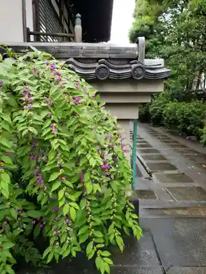 世尊院(東京都)