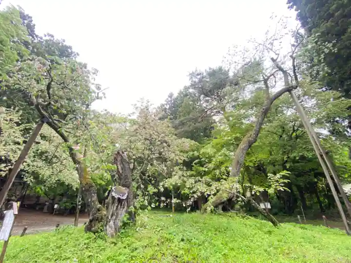 磐椅神社(福島県)