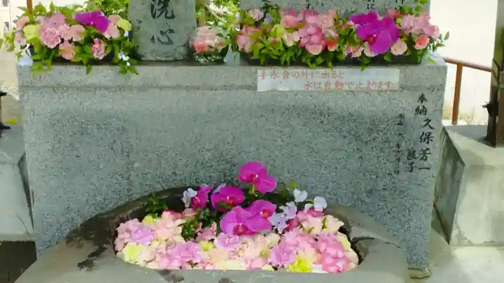 手稲神社(北海道)