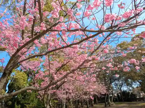 三津厳島神社(愛媛県)