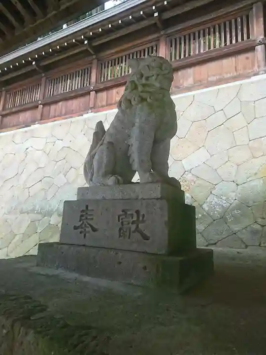 櫻山八幡宮の狛犬