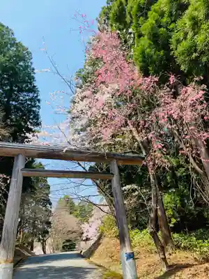 土津神社|こどもと出世の神さまの鳥居