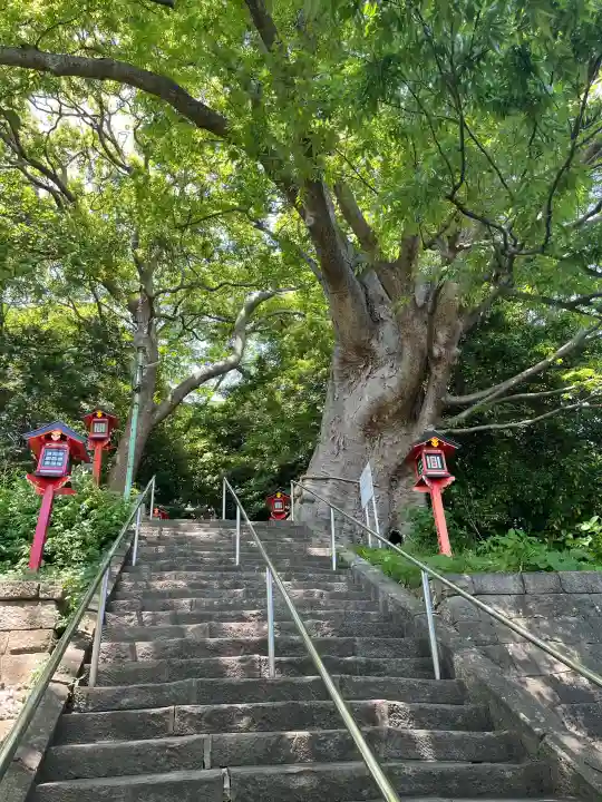 常陸第三宮 吉田神社の{uncategorized: "未分類", other: "その他", undefined: "問題あり", building: "その他建物", grave: "お墓", sacred_gate: "鳥居", guardian: "狛犬", statue: "像", buddha: "仏像", history: "歴史", nature: "自然", garden: "庭園", animal: "動物", pagoda: "塔", temizu: "手水舎", mountain_gate: "山門・神門", sanctuary: "本殿・本堂", subordinate: "末社・摂社", art: "芸術", scenery: "景色", jizo: "地蔵", ema: "絵馬", goshuin: "御朱印", omikuji: "おみくじ", items: "授与品その他", amulet: "お守り", goshuincho: "御朱印帳", eats: "食事", festival: "お祭り", votive_dance: "神楽", shichigosan: "七五三参", wedding: "結婚式", experience: "体験その他", initially: "初詣", around: "周辺", anti_infection: "感染症対策"}