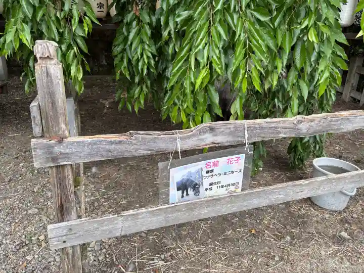 大石神社(京都府)