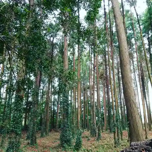 戸隠神社の自然