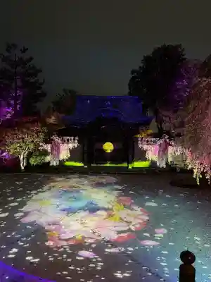 高台寺（高台寿聖禅寺・高臺寺）の{uncategorized: "未分類", other: "その他", undefined: "問題あり", building: "その他建物", grave: "お墓", sacred_gate: "鳥居", guardian: "狛犬", statue: "像", buddha: "仏像", history: "歴史", nature: "自然", garden: "庭園", animal: "動物", pagoda: "塔", temizu: "手水舎", mountain_gate: "山門・神門", sanctuary: "本殿・本堂", subordinate: "末社・摂社", art: "芸術", scenery: "景色", jizo: "地蔵", ema: "絵馬", goshuin: "御朱印", omikuji: "おみくじ", items: "授与品その他", amulet: "お守り", goshuincho: "御朱印帳", eats: "食事", festival: "お祭り", votive_dance: "神楽", shichigosan: "七五三参", wedding: "結婚式", experience: "体験その他", initially: "初詣", around: "周辺", anti_infection: "感染症対策"}