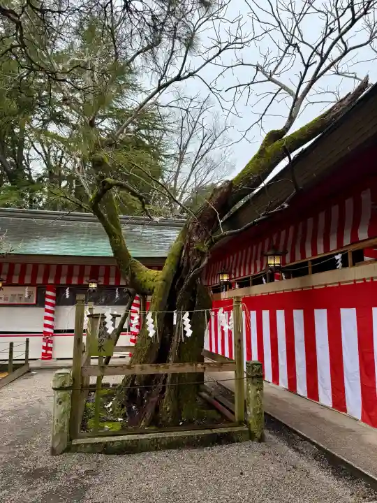 笠間稲荷神社の{uncategorized: "未分類", other: "その他", undefined: "問題あり", building: "その他建物", grave: "お墓", sacred_gate: "鳥居", guardian: "狛犬", statue: "像", buddha: "仏像", history: "歴史", nature: "自然", garden: "庭園", animal: "動物", pagoda: "塔", temizu: "手水舎", mountain_gate: "山門・神門", sanctuary: "本殿・本堂", subordinate: "末社・摂社", art: "芸術", scenery: "景色", jizo: "地蔵", ema: "絵馬", goshuin: "御朱印", omikuji: "おみくじ", items: "授与品その他", amulet: "お守り", goshuincho: "御朱印帳", eats: "食事", festival: "お祭り", votive_dance: "神楽", shichigosan: "七五三参", wedding: "結婚式", experience: "体験その他", initially: "初詣", around: "周辺", anti_infection: "感染症対策"}