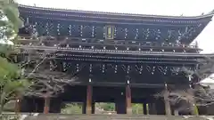 知恩院の山門