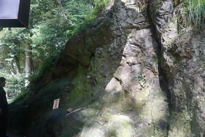 出雲大社の自然