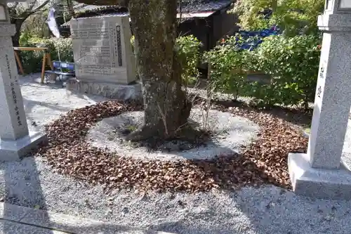 出雲大神宮の自然