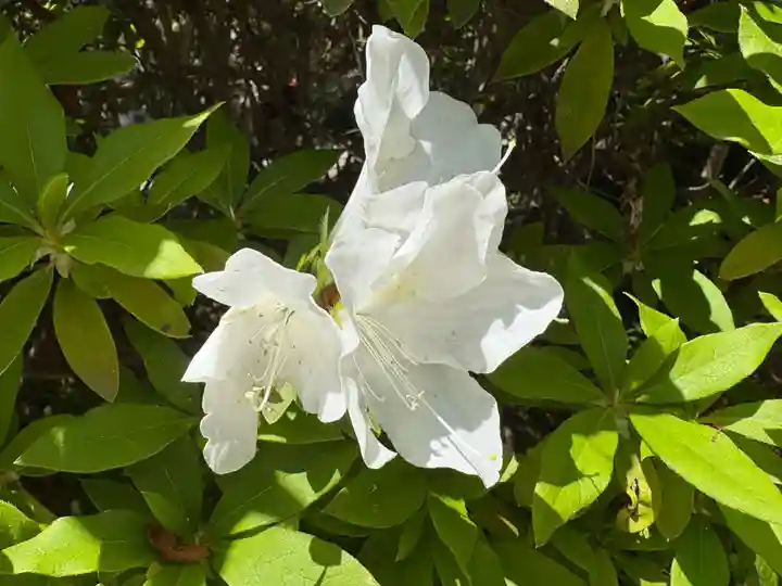 廣田神社(兵庫県)