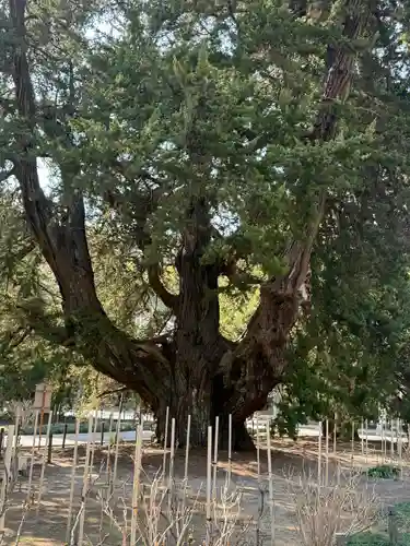 建長寺(神奈川県)