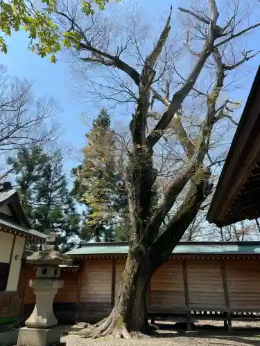 蠶養國神社(福島県)