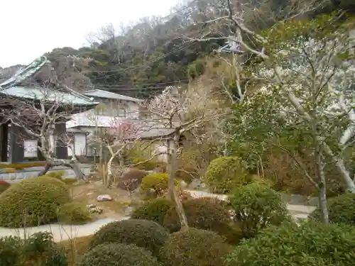 海蔵寺の庭園