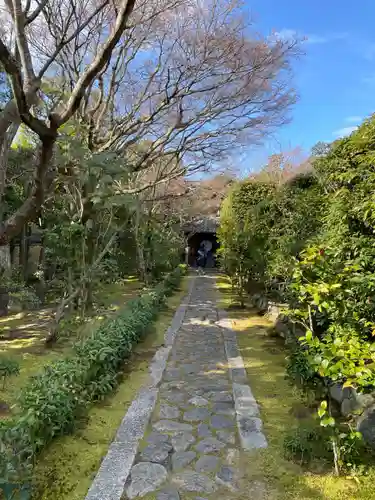 大光院(京都府)