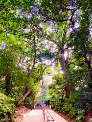 鹿島神宮の{uncategorized: "未分類", other: "その他", undefined: "問題あり", building: "その他建物", grave: "お墓", sacred_gate: "鳥居", guardian: "狛犬", statue: "像", buddha: "仏像", history: "歴史", nature: "自然", garden: "庭園", animal: "動物", pagoda: "塔", temizu: "手水舎", mountain_gate: "山門・神門", sanctuary: "本殿・本堂", subordinate: "末社・摂社", art: "芸術", scenery: "景色", jizo: "地蔵", ema: "絵馬", goshuin: "御朱印", omikuji: "おみくじ", items: "授与品その他", amulet: "お守り", goshuincho: "御朱印帳", eats: "食事", festival: "お祭り", votive_dance: "神楽", shichigosan: "七五三参", wedding: "結婚式", experience: "体験その他", initially: "初詣", around: "周辺", anti_infection: "感染症対策"}