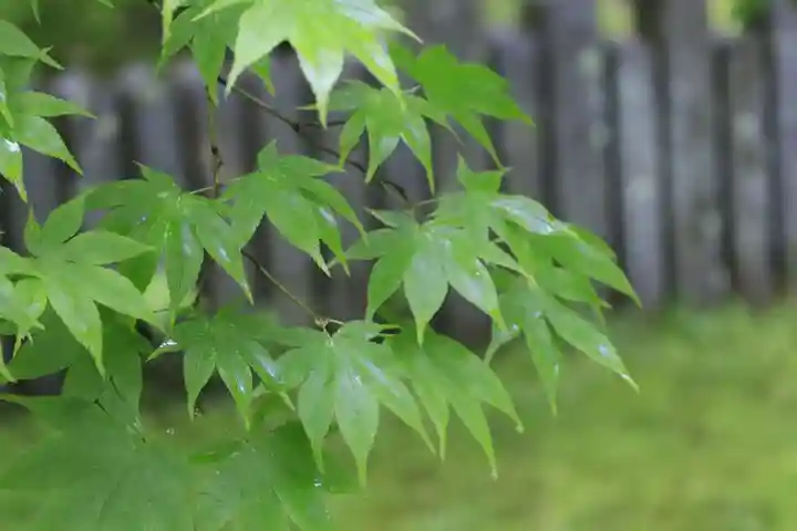 今熊野観音寺(京都府)