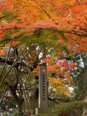 村雲御所瑞龍寺門跡の自然