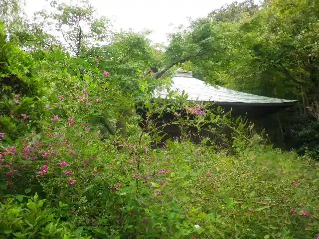 浄光明寺の自然